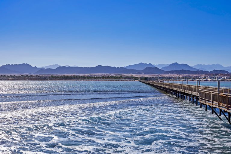 Jetty 20185216
